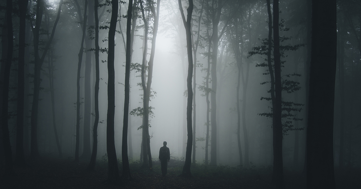 Sarapiqui story art Sarapiqui story art