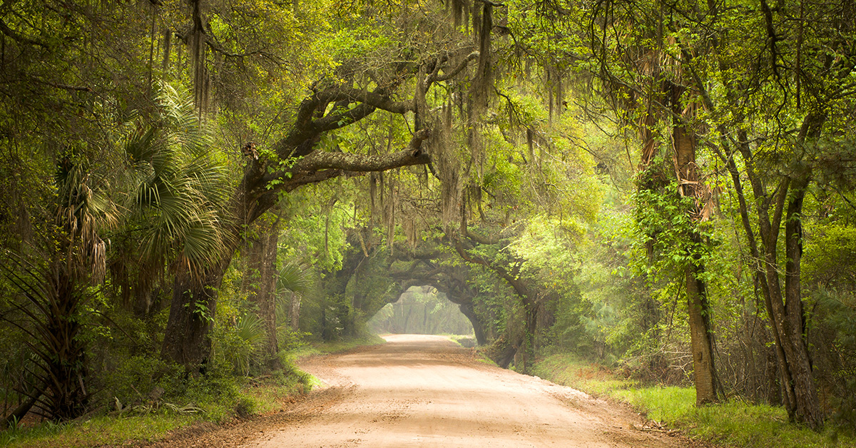 Private Salvation art Private Salvation art