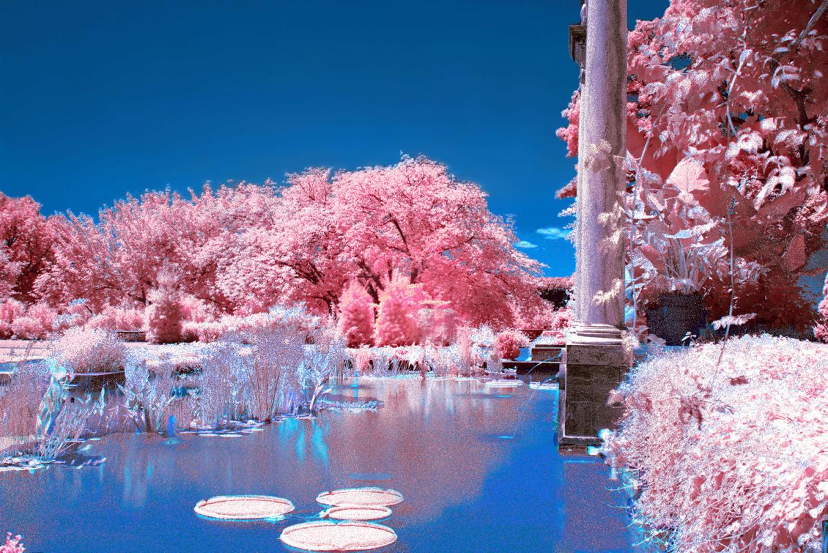 Baby Blue by Joshua B Huitz