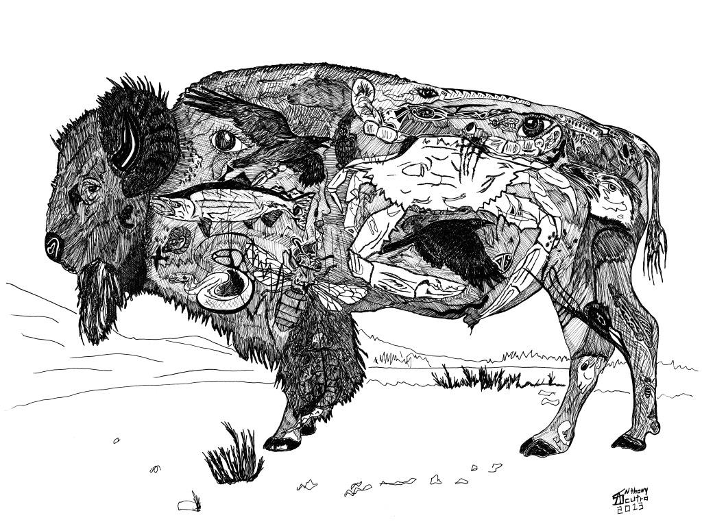 Bison by Anthony Scutro