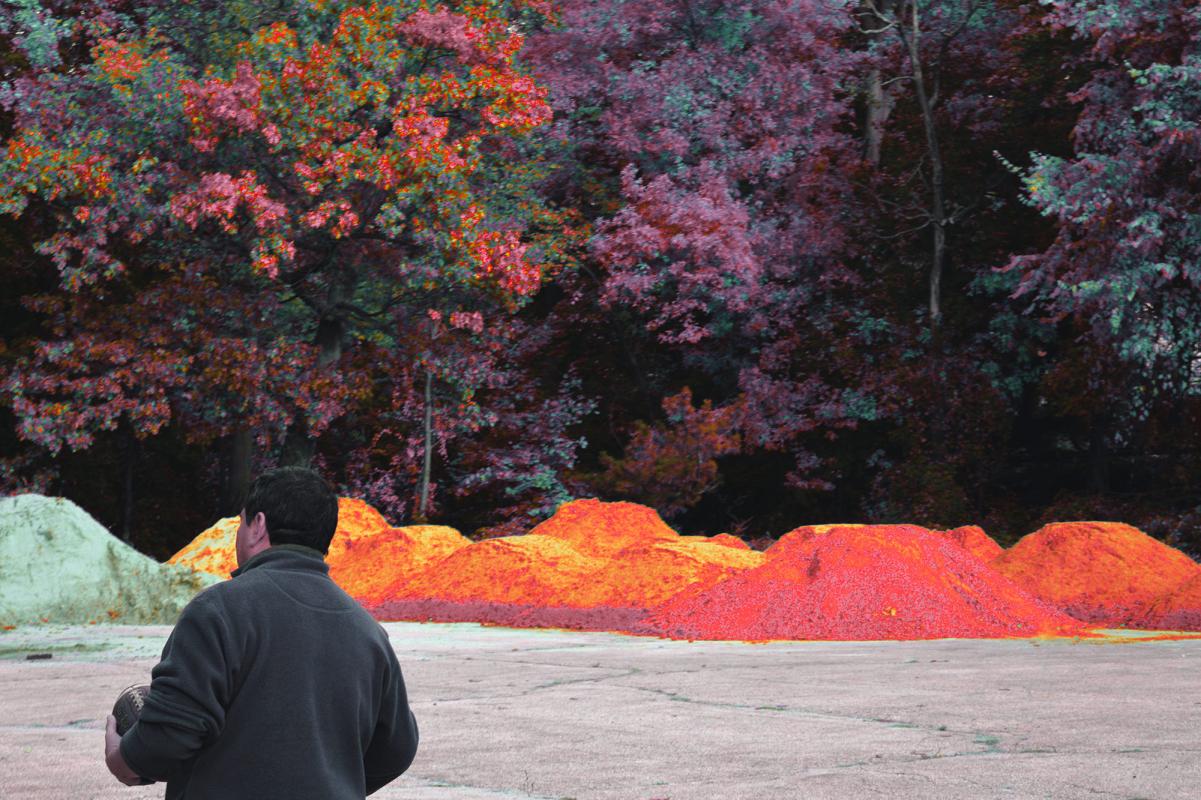 Orange Mango by Joshua B Huitz