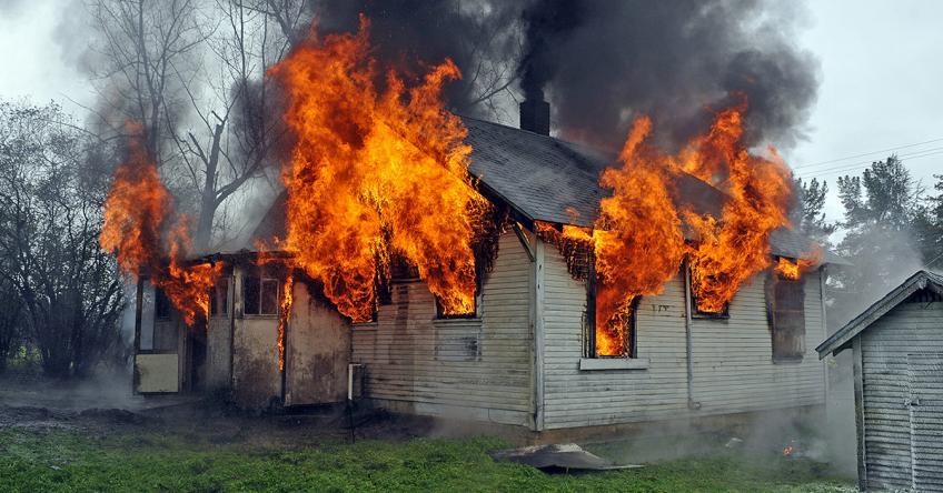 About the Fires story art