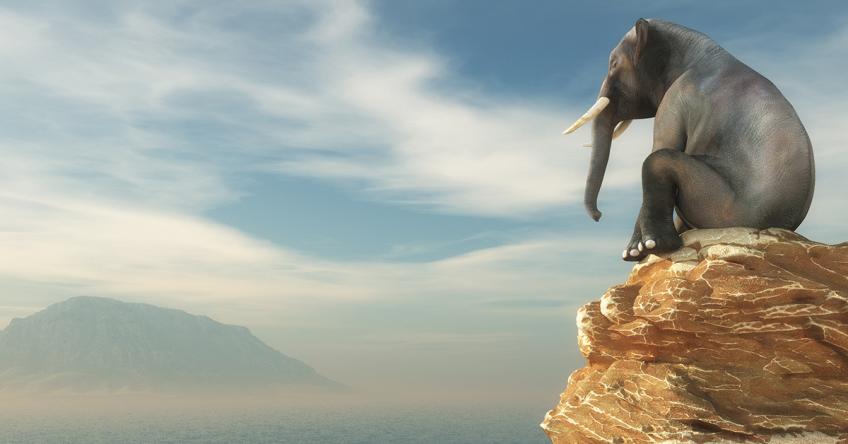 The Elephant Closest To The Moon story art