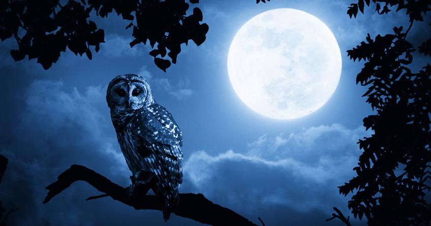 A Very Serious Matter