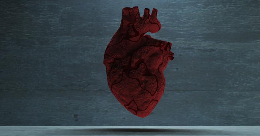 This Political Body essay art