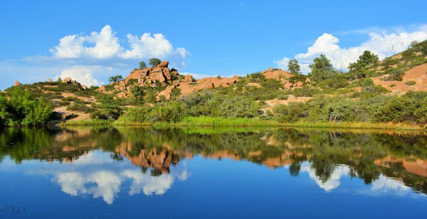 Pond at Oak Flat, Save Oak Flat